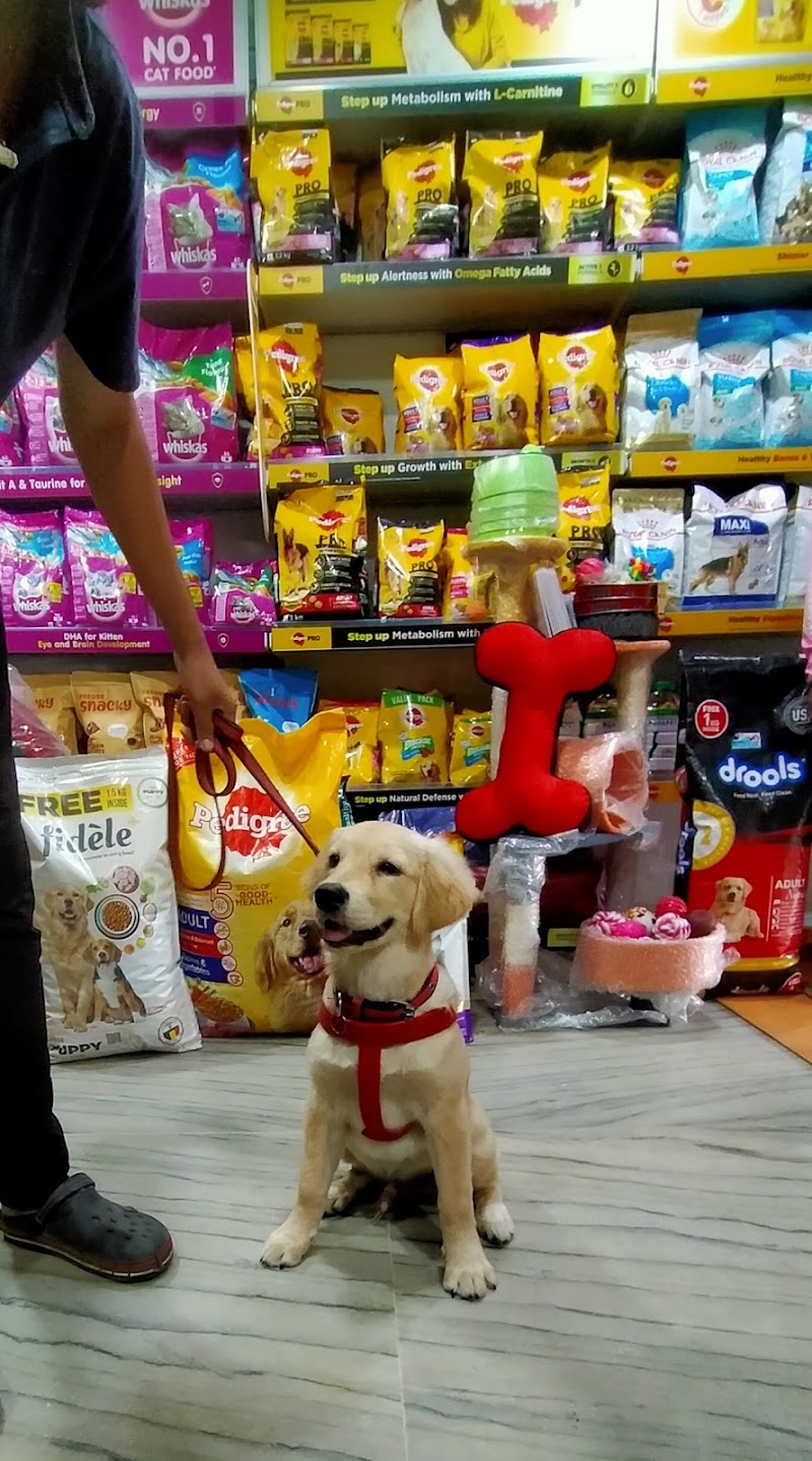 Pets mart & clinic — Photo 2