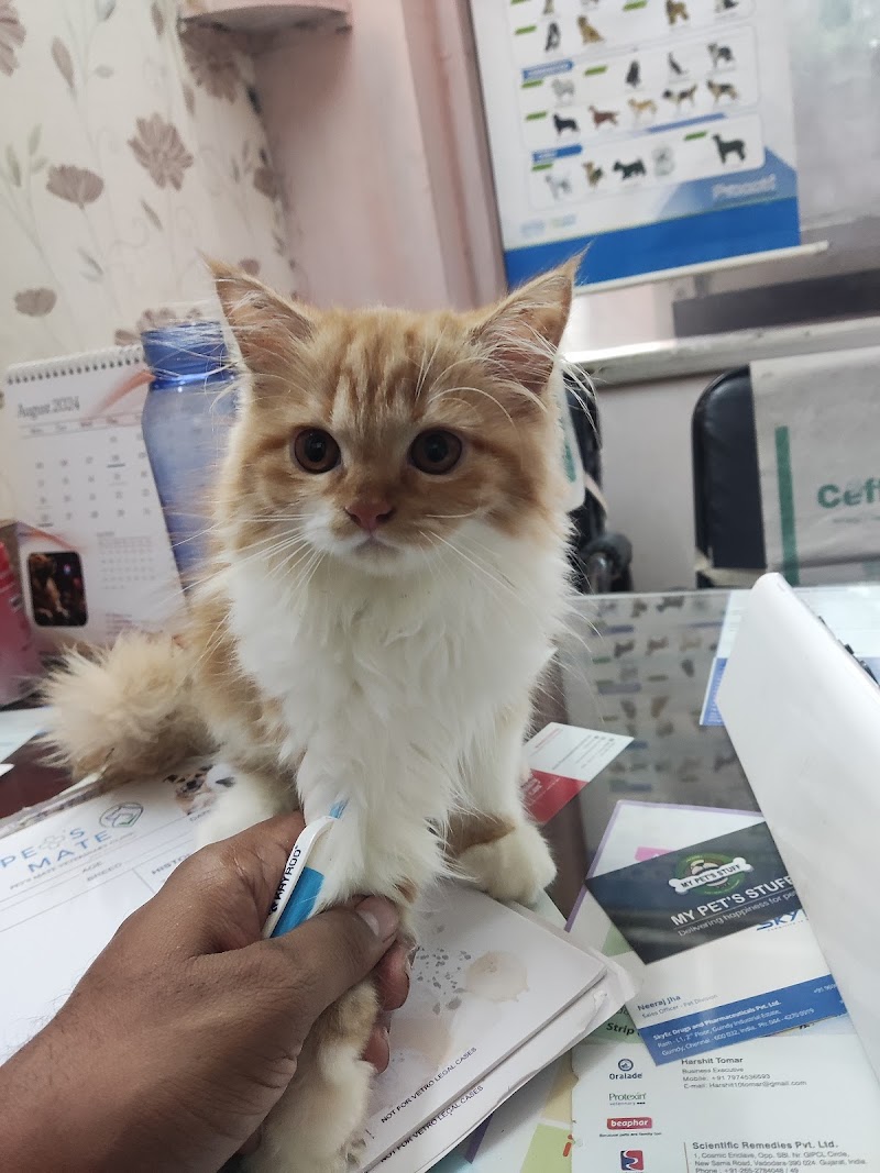 Pet's Mate Veterinary Clinic — Photo 4