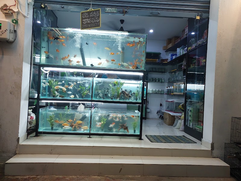 Pets Paradise- Bhavanipuram — Photo 2