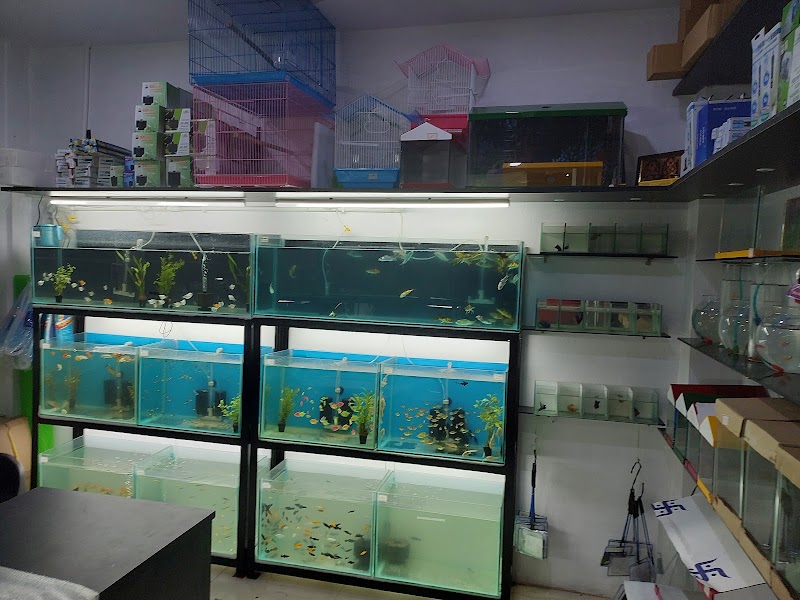 Pets Paradise- Bhavanipuram — Photo 3