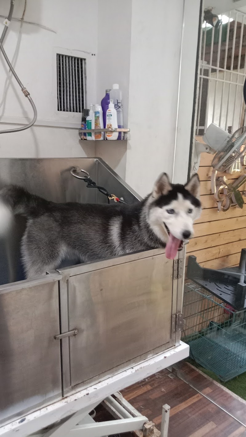 Pets & Ponds, pets grooming salon — Photo 4