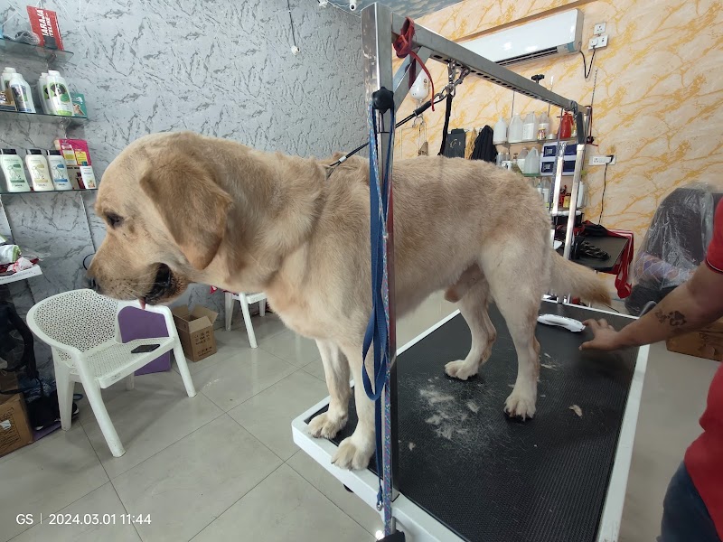 PET'S Super Bazar Grooming Salon — Photo 3