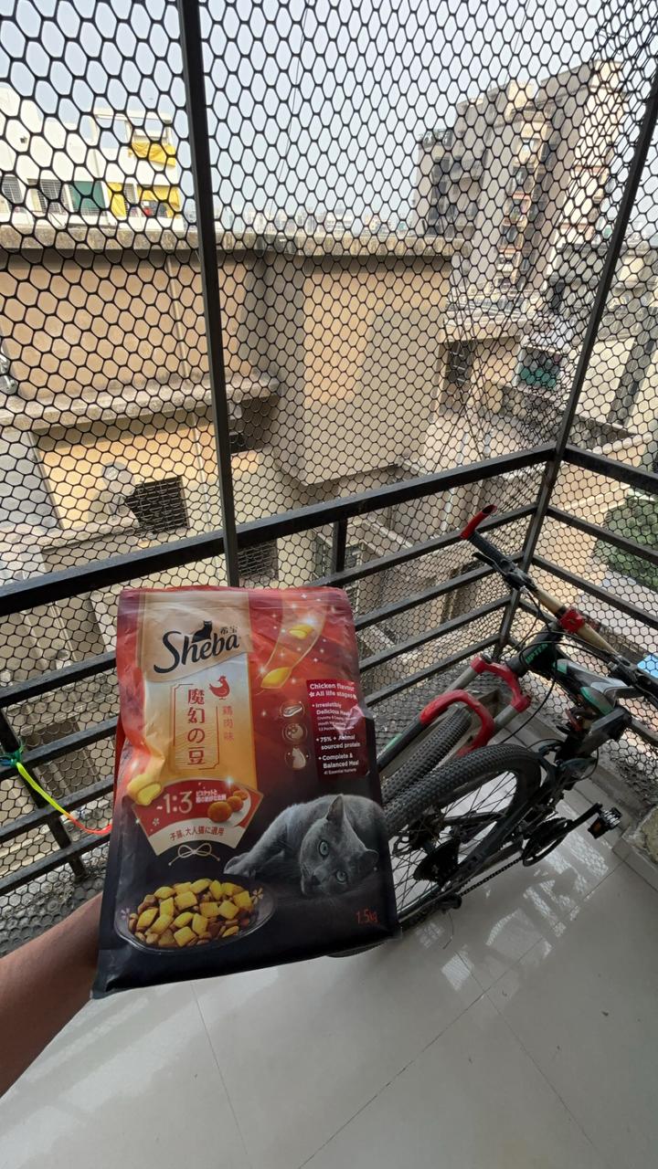 Pets Tales — Photo 2