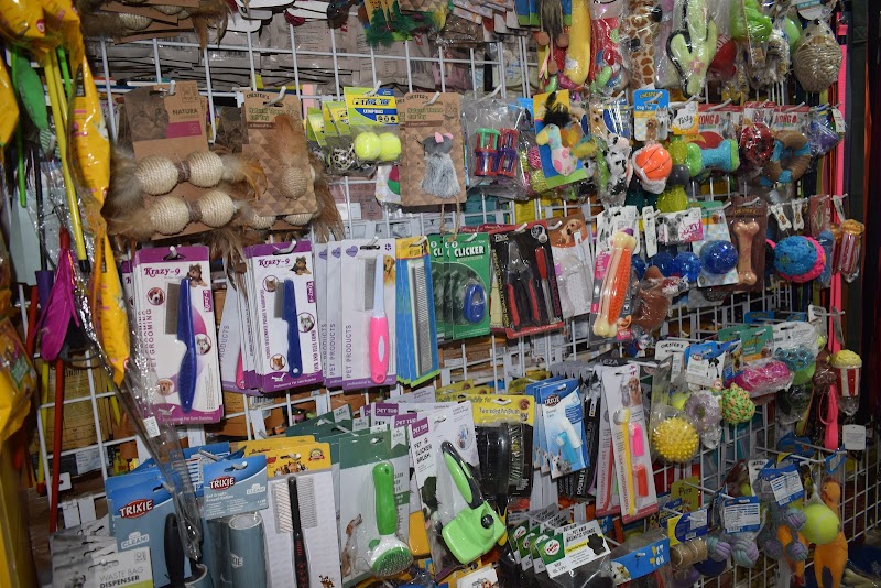 PETS TIME PET STORE, PET CLINIC & PET GROOMING SPA — Photo 2