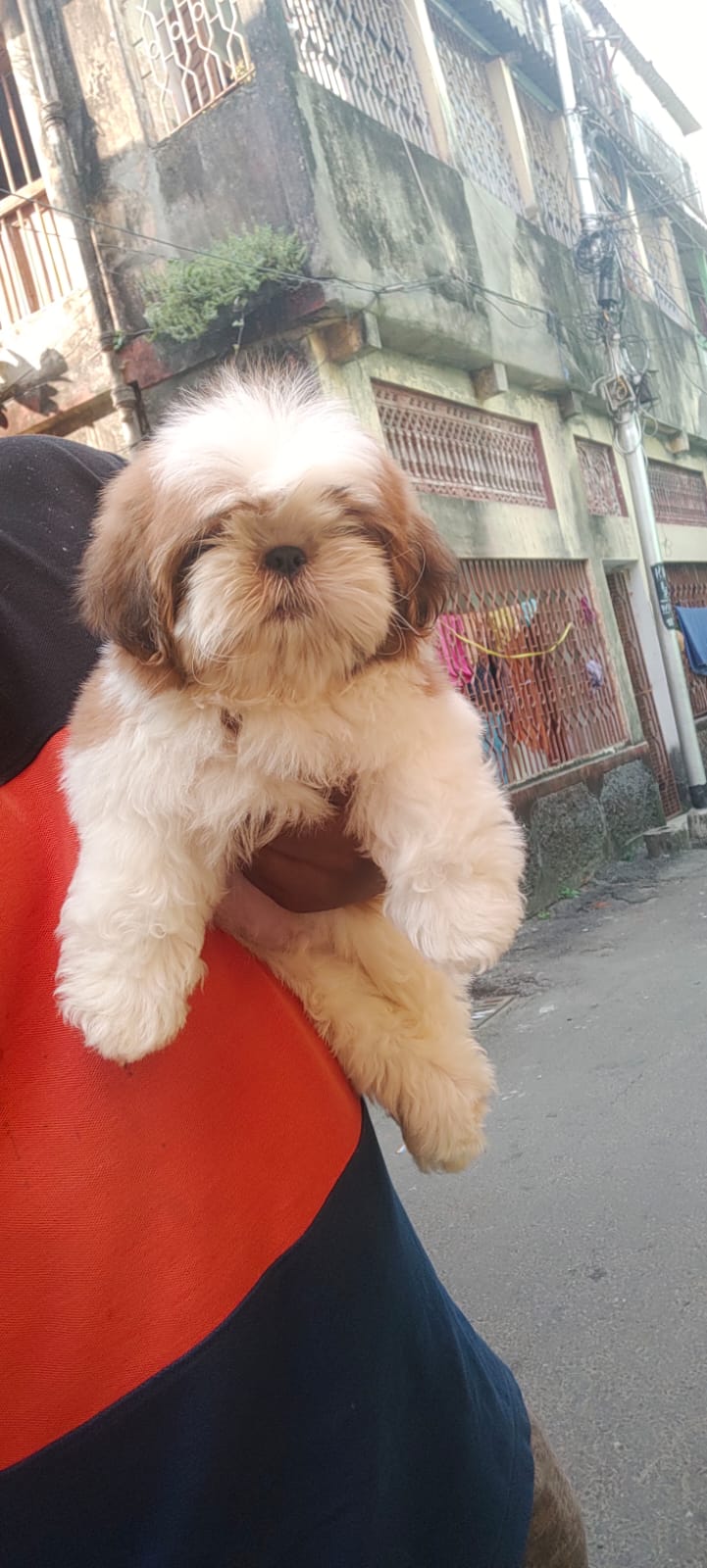 PET'S WORLD — Photo 3