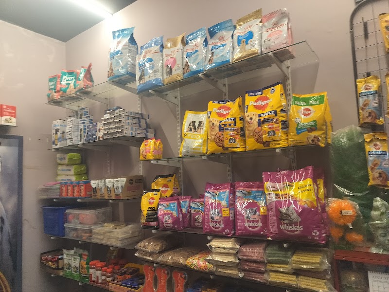 Pet's world — Photo 3