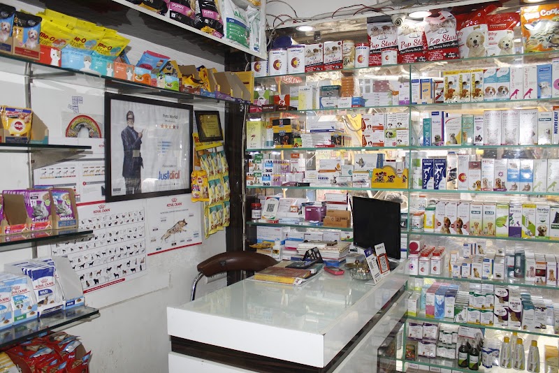 Pets World — Photo 3