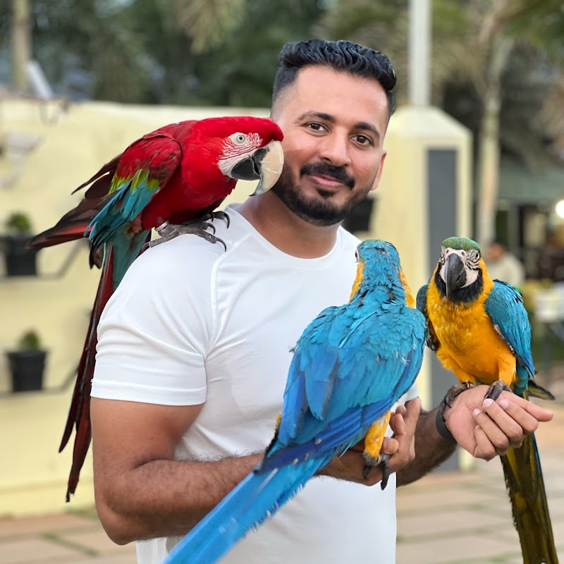 PetStation, Mattool,Kannur