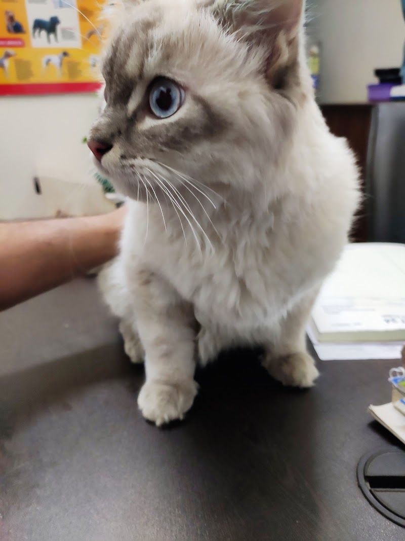 Petvet24 Veterinary Clinic — Photo 3