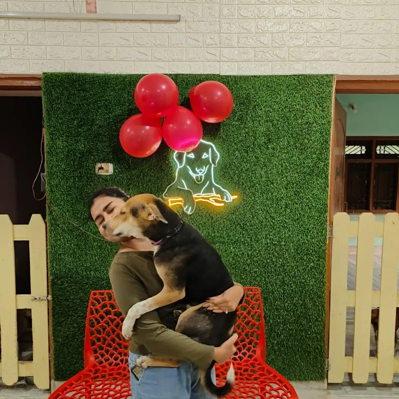 PetZoo ® (Dog Hostel) — Photo 2