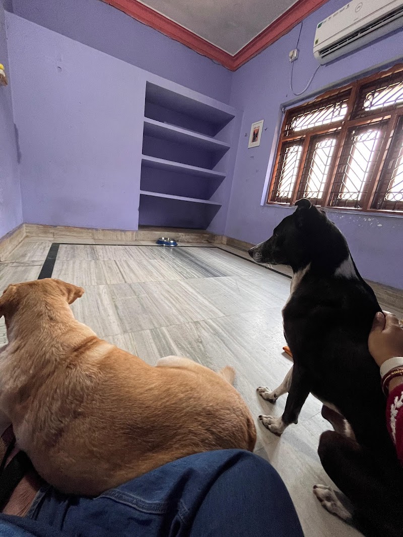 PetZoo ® (Dog Hostel) — Photo 3