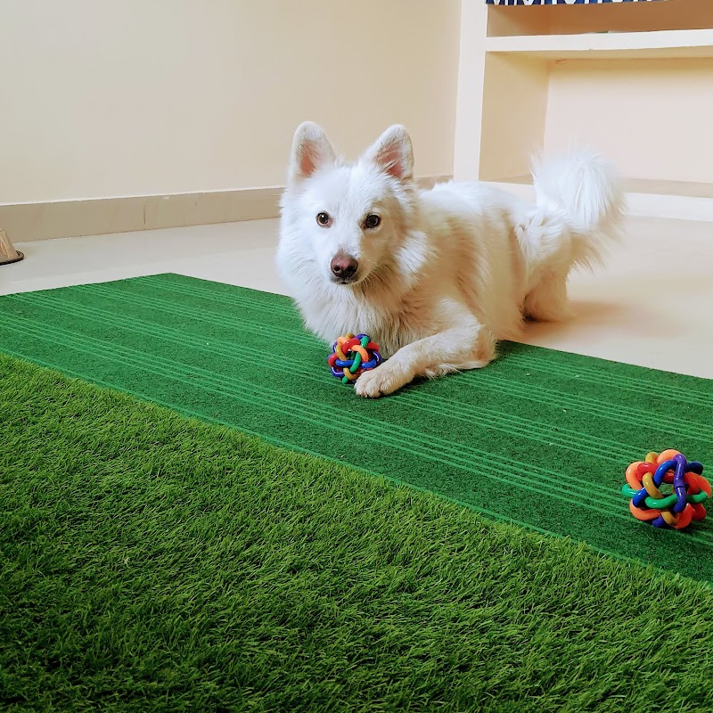 PetZoo ® (Dog Hostel) — Photo 4