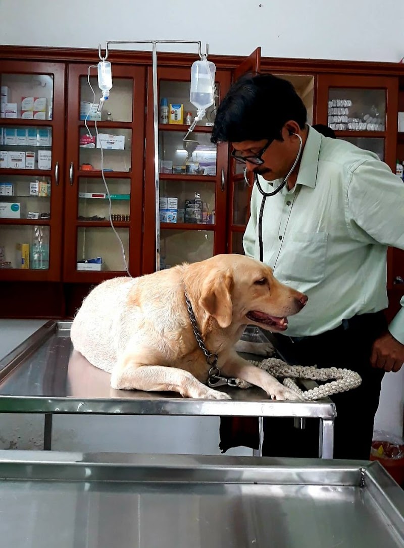 PHM Veterinary Clinic — Photo 4