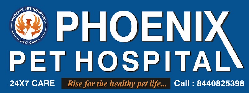 Phoenix Pet Hospital jaipur