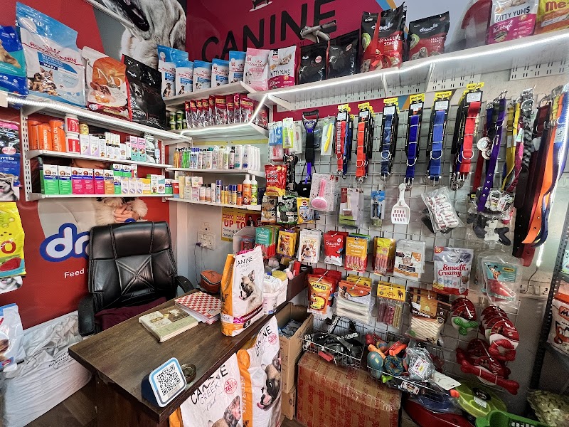 PIHU PETS — Photo 2