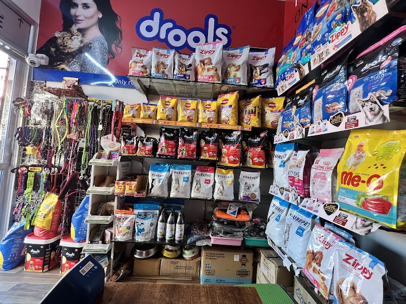 PIHU PETS — Photo 4