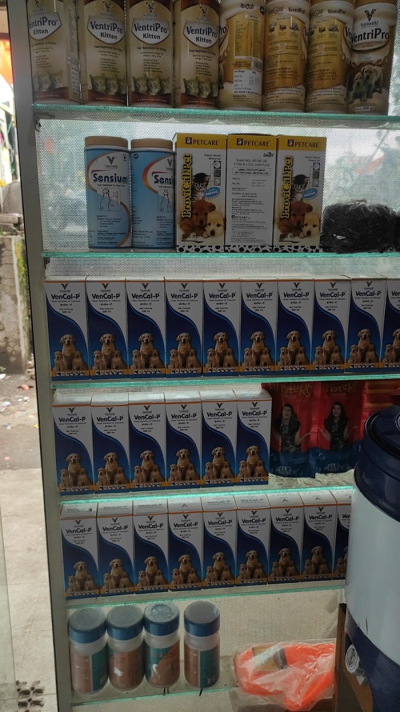 Planet Paws — Photo 2