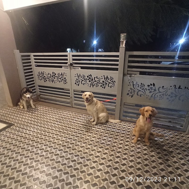 Play with Paws Dog Training and Boarding Loc 2 — Photo 4