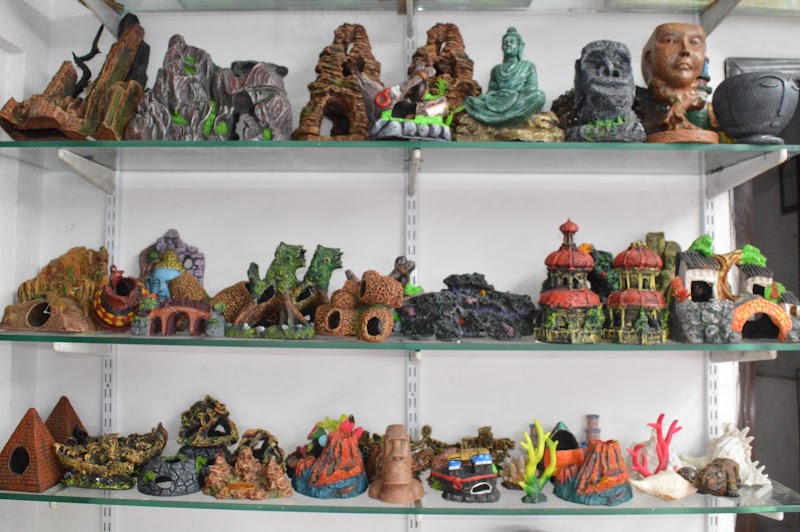 Pluffy Pets & Aquariums — Photo 2