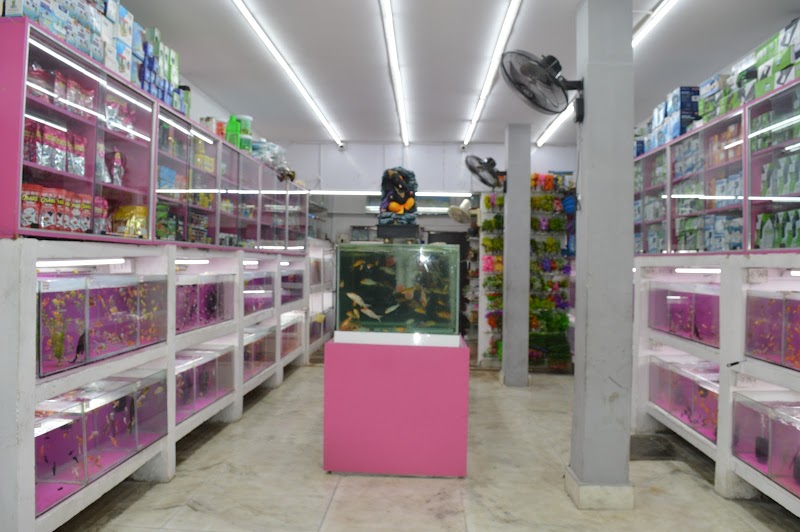 Pluffy Pets & Aquariums — Photo 3