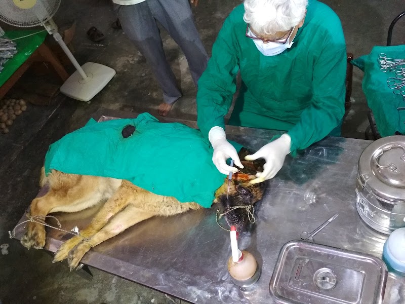 Pragya Dog Care — Photo 2