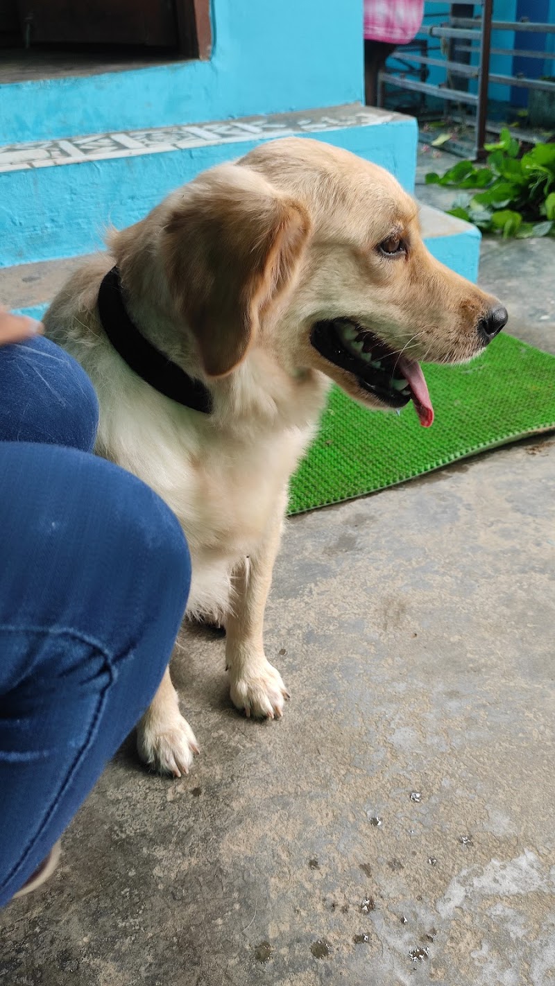 Pragya Dog Care — Photo 3