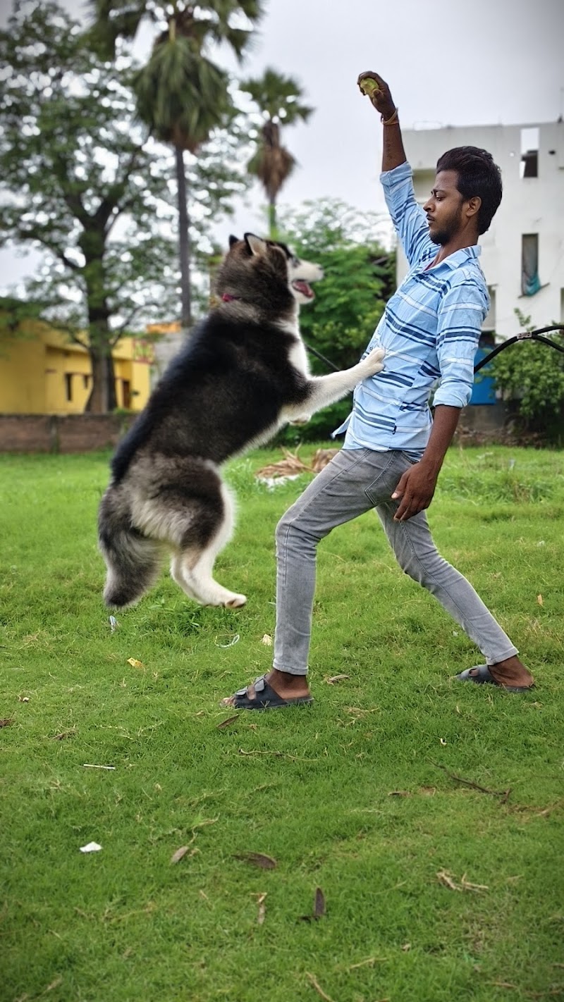 Prakash Pet Shop — Photo 2