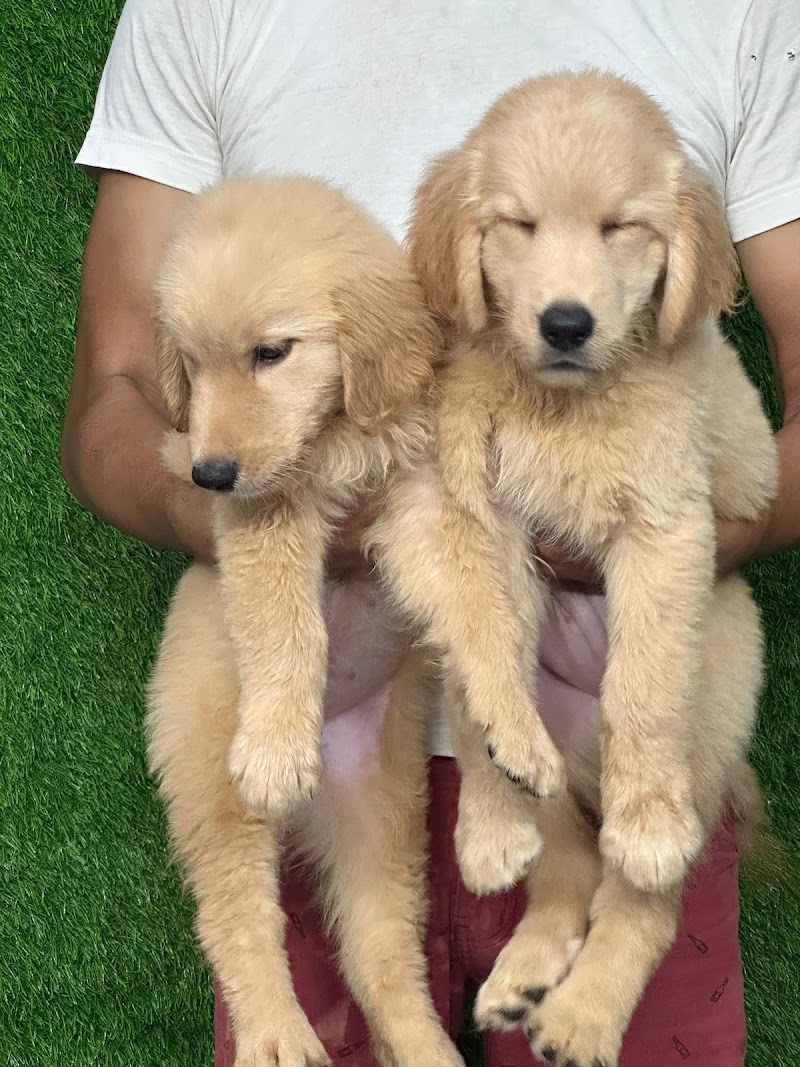 Prakash Pet Shop — Photo 3