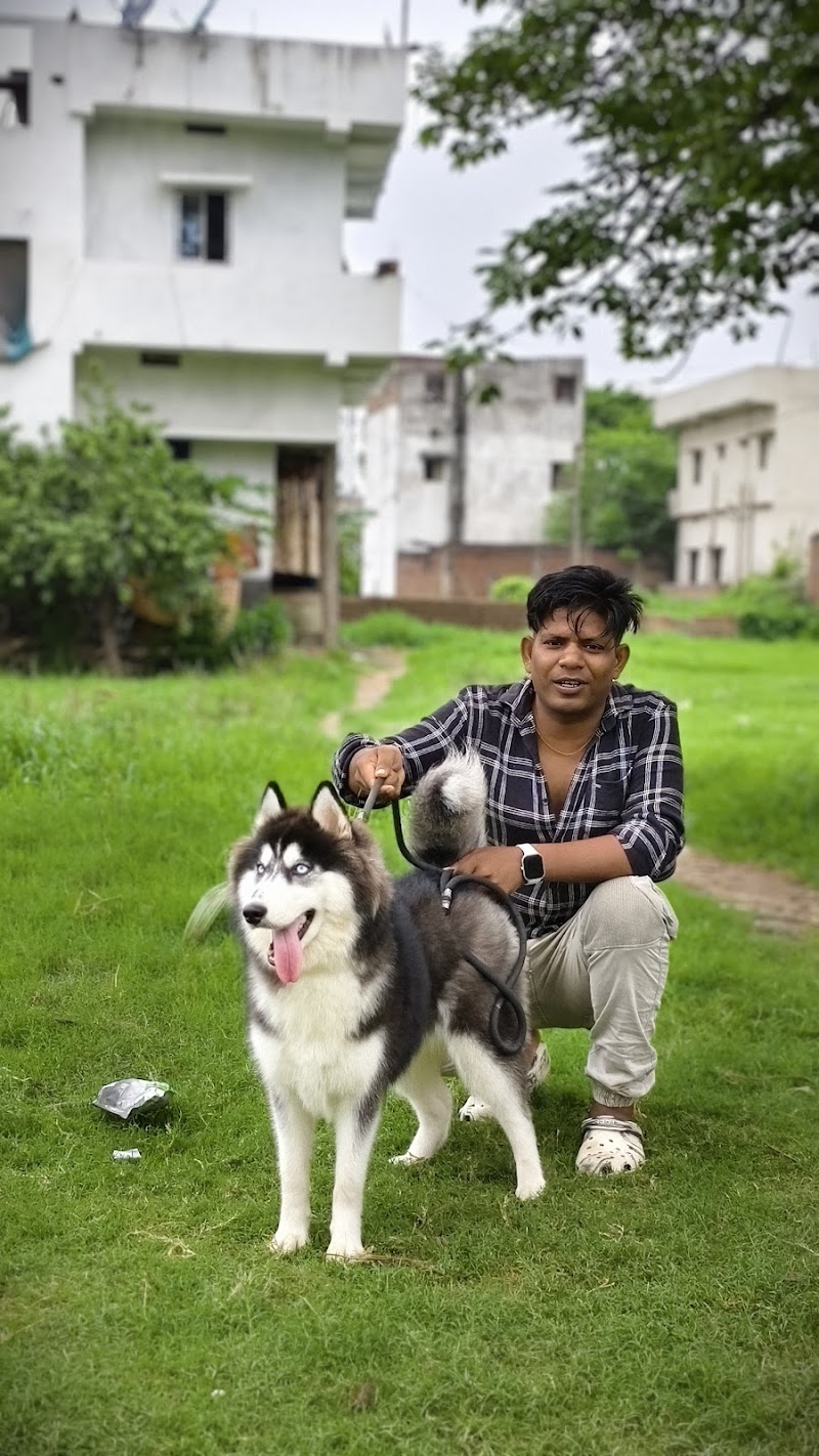 Prakash Pet Shop — Photo 4