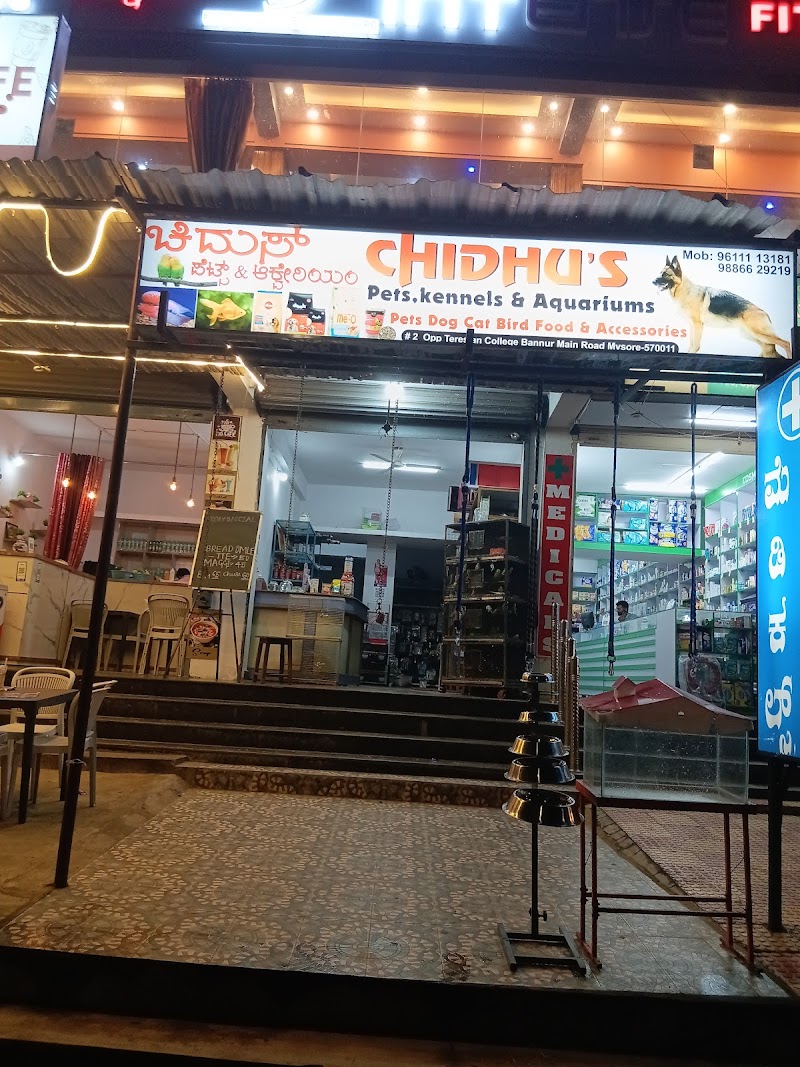 Pralok pets & aquarium Siddhartha nagar mysore