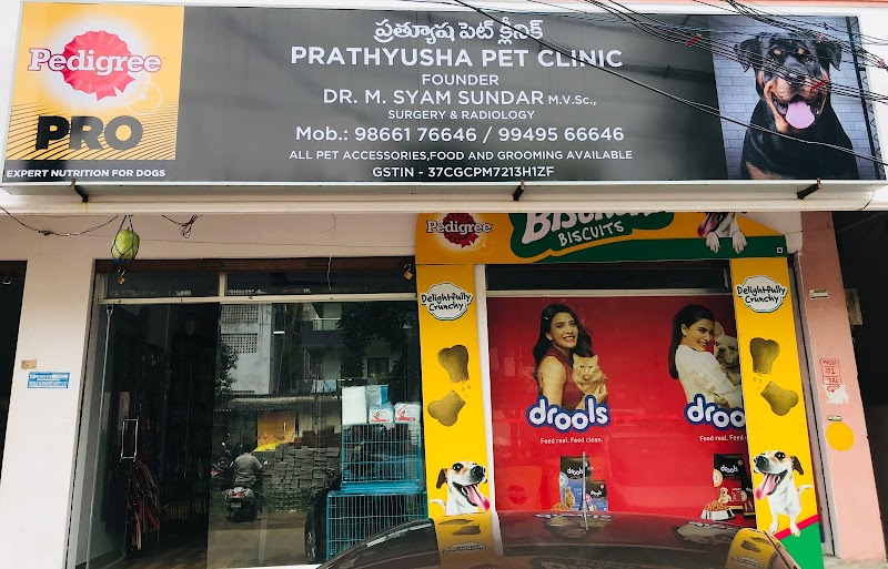 Prathyusha pet clinic — Photo 3