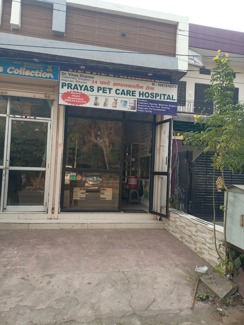 Prayas pet care hospital — Photo 2