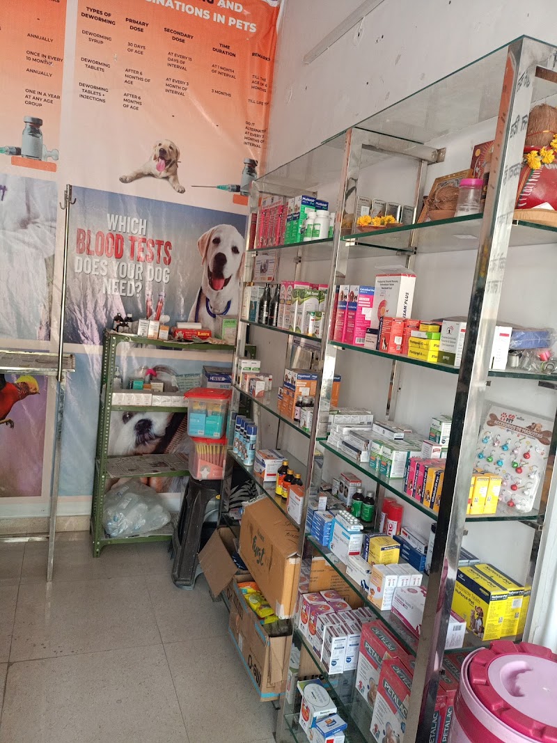 Prayas pet care hospital — Photo 3