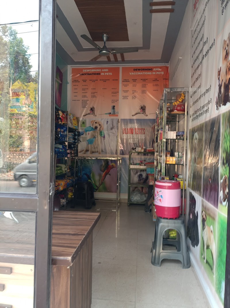 Prayas pet care hospital — Photo 4