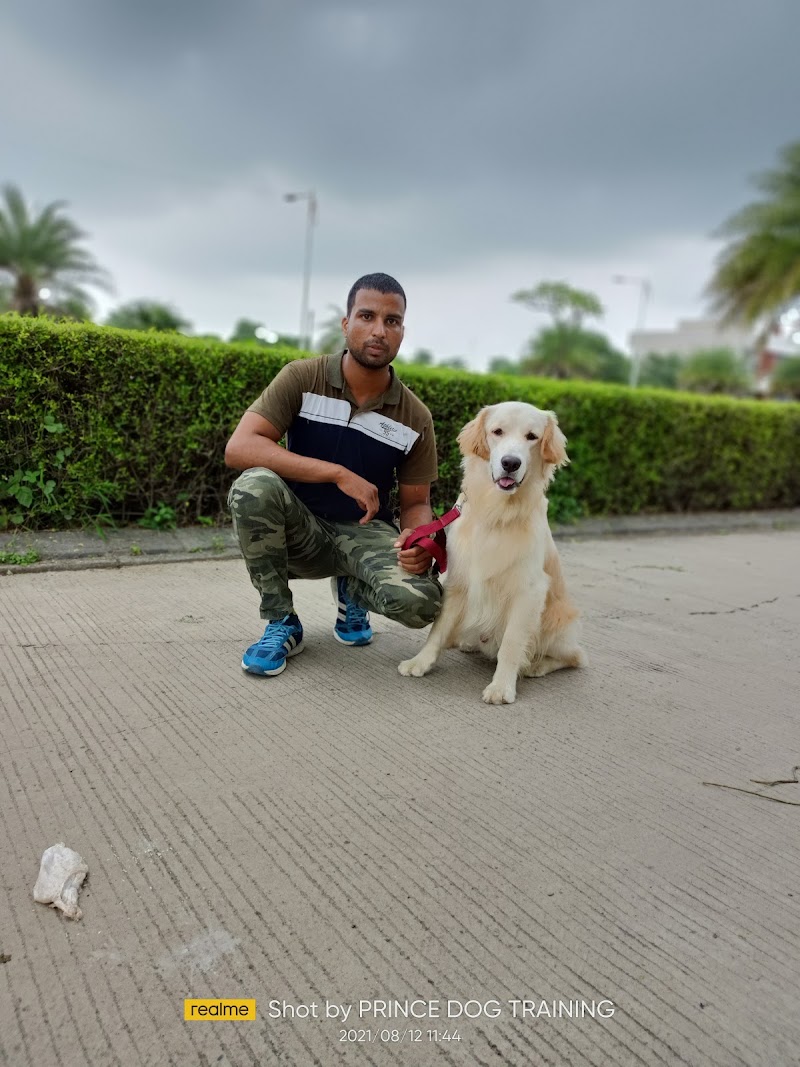 Prince Dog Training Indore — Photo 2