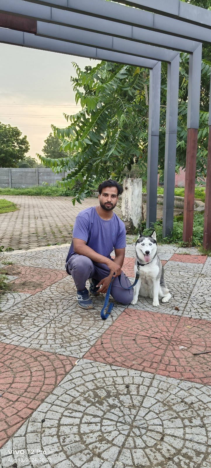 Prince Dog Training Indore — Photo 3