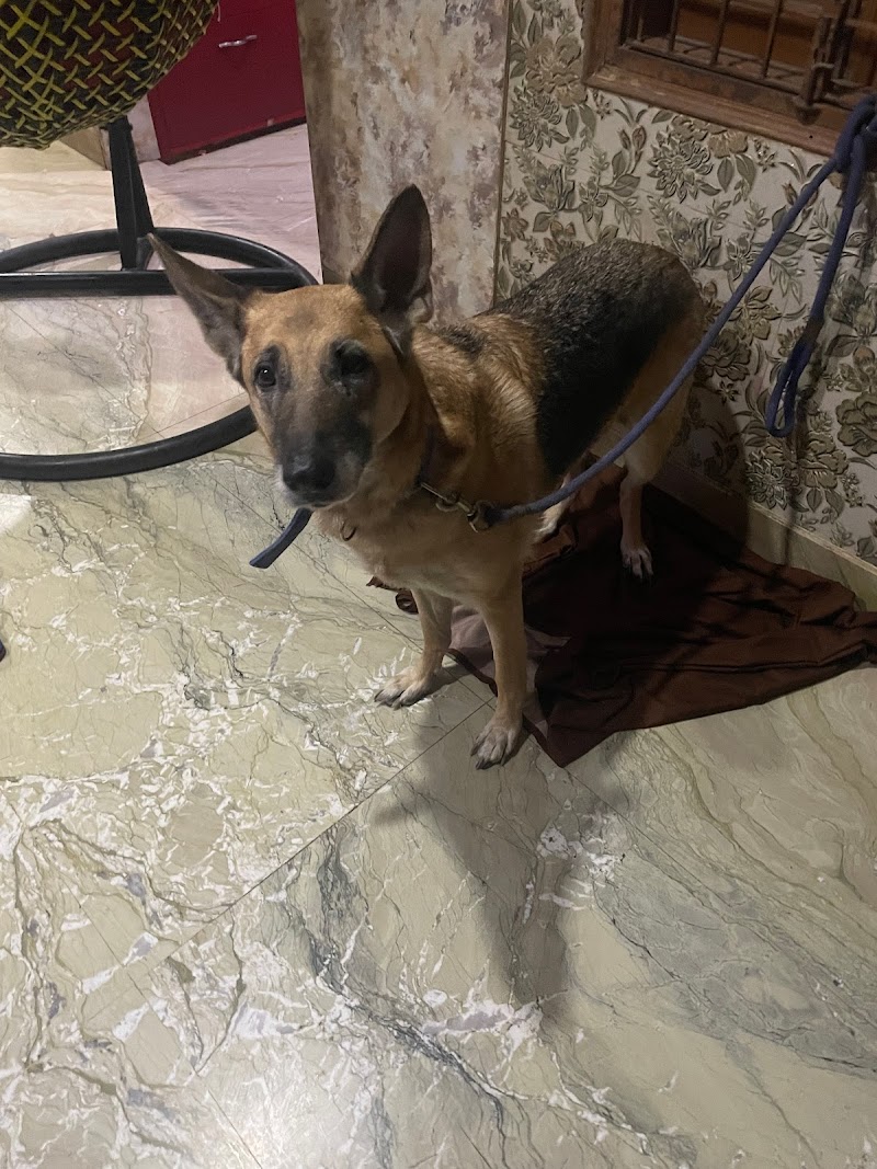 Princess Pets Care Boarding (Dipti)