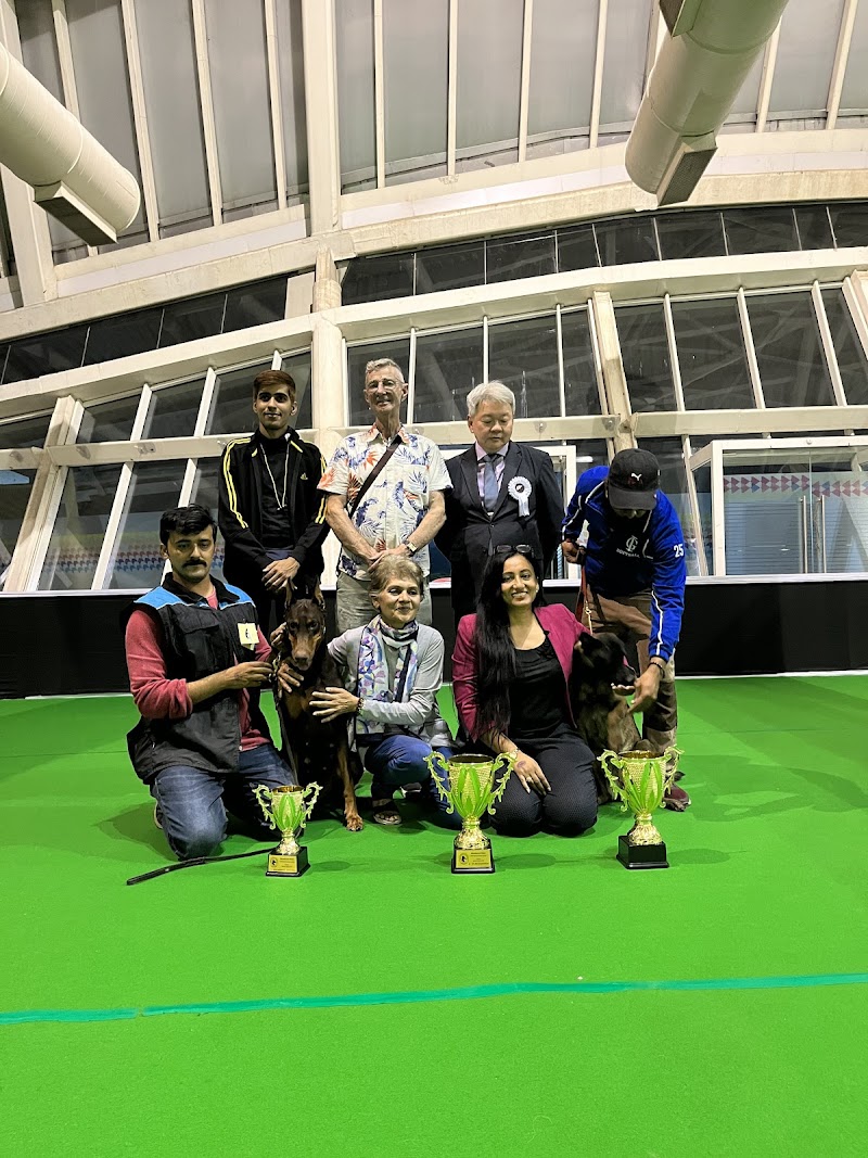 Professional Dog Trainer Siddhraj Jadeja — Photo 2