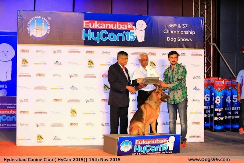 Professional Dog Trainer Siddhraj Jadeja — Photo 3
