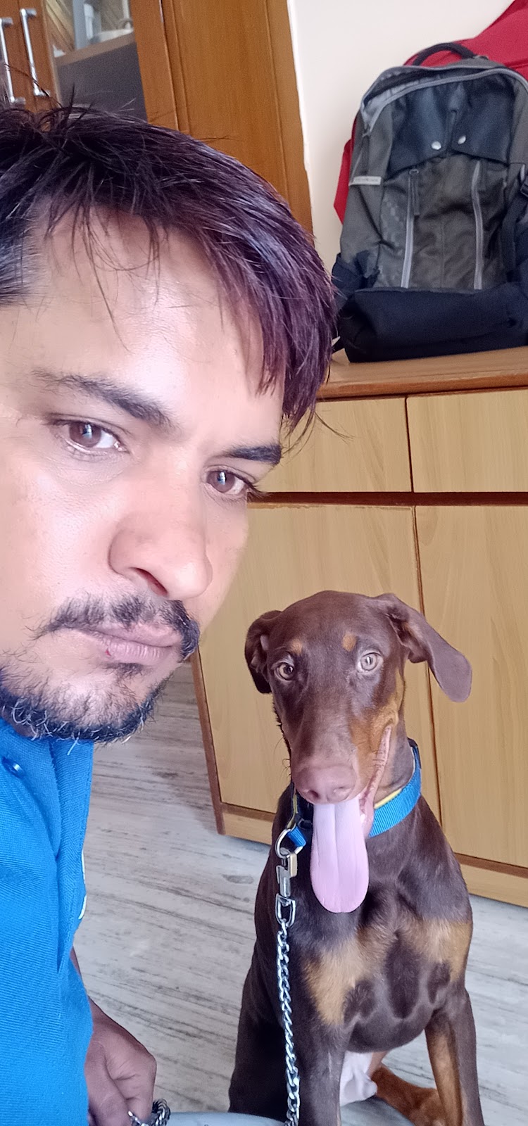 Professional Dog training and Dog walking at noida