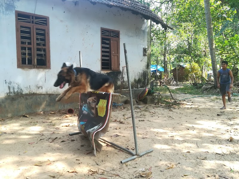 Professional Dog Training Centre — Photo 2