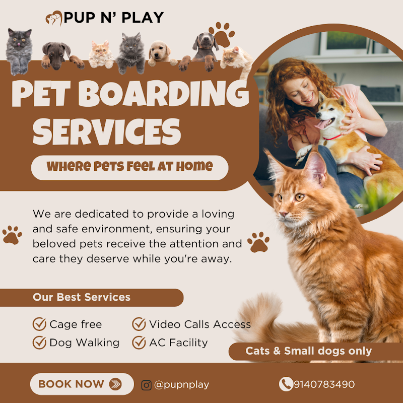 PUP 'N' PLAY PET CARE — Photo 2