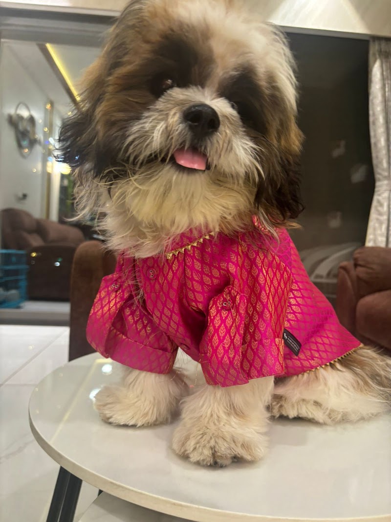 PUP 'N' PLAY PET CARE — Photo 3