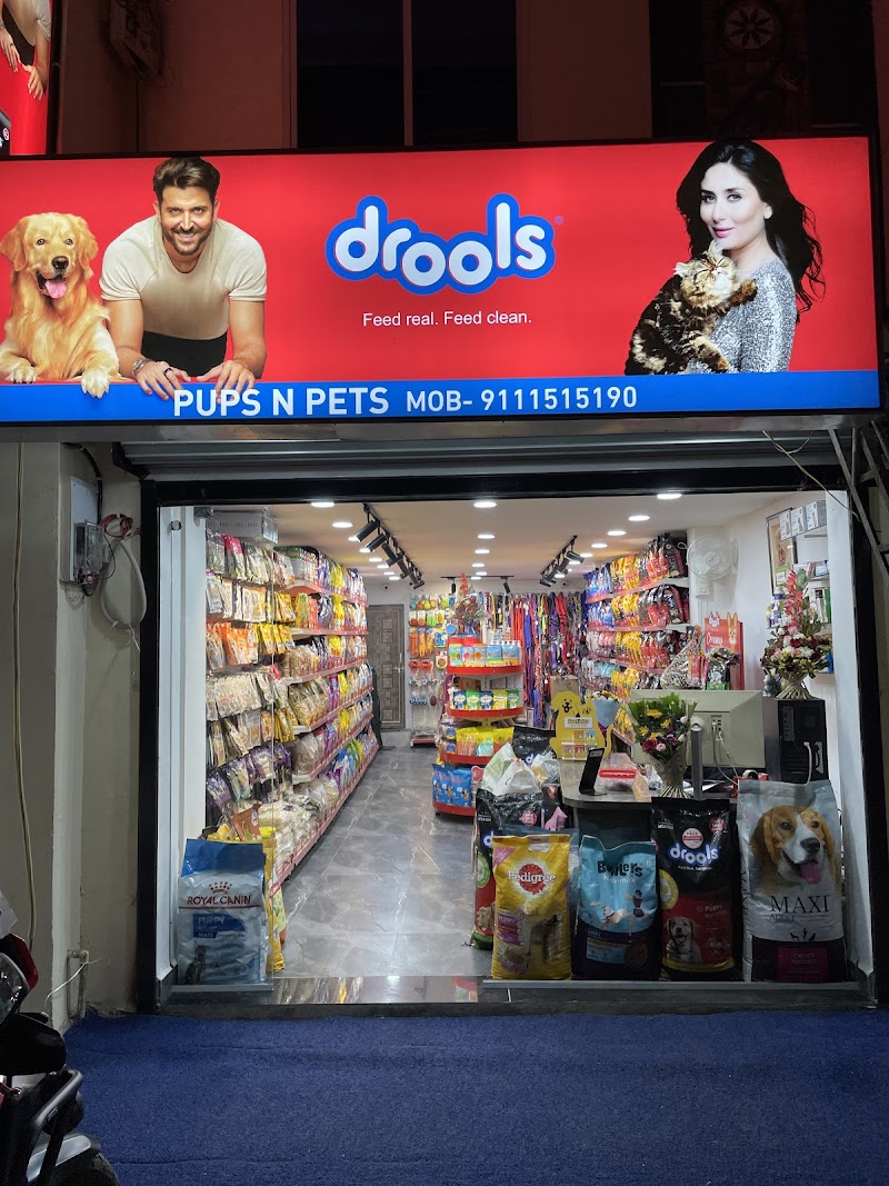 PUPS N PETS Pets Store & Grooming — Photo 4
