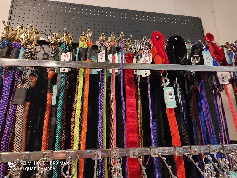 PUPS - Pet Care Store — Photo 3