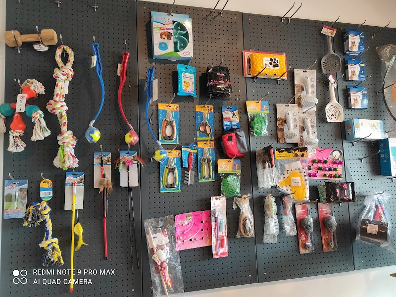 PUPS - Pet Care Store — Photo 4