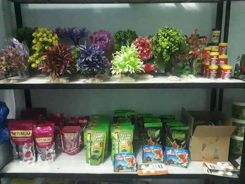 Rabiya Fish N Pets — Photo 4