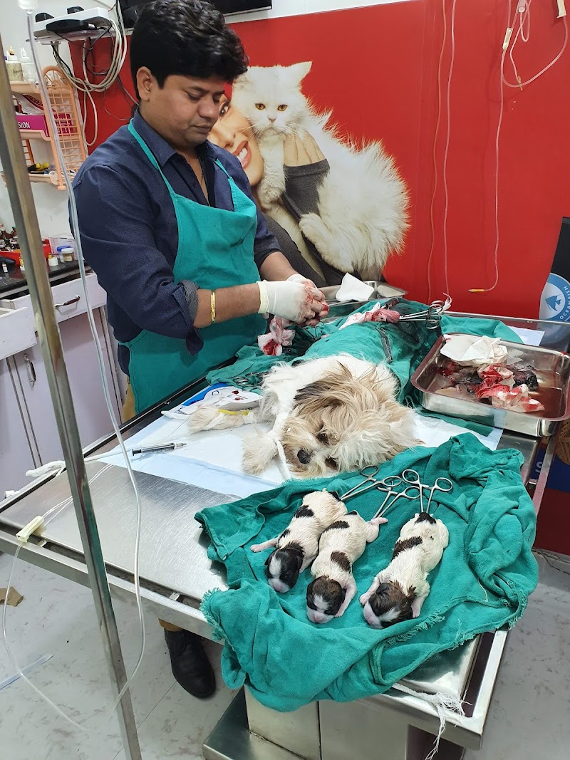 Radha Pet Care & Surgery Center