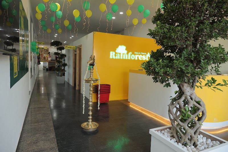 Rainforest Pets & Plants — Photo 2