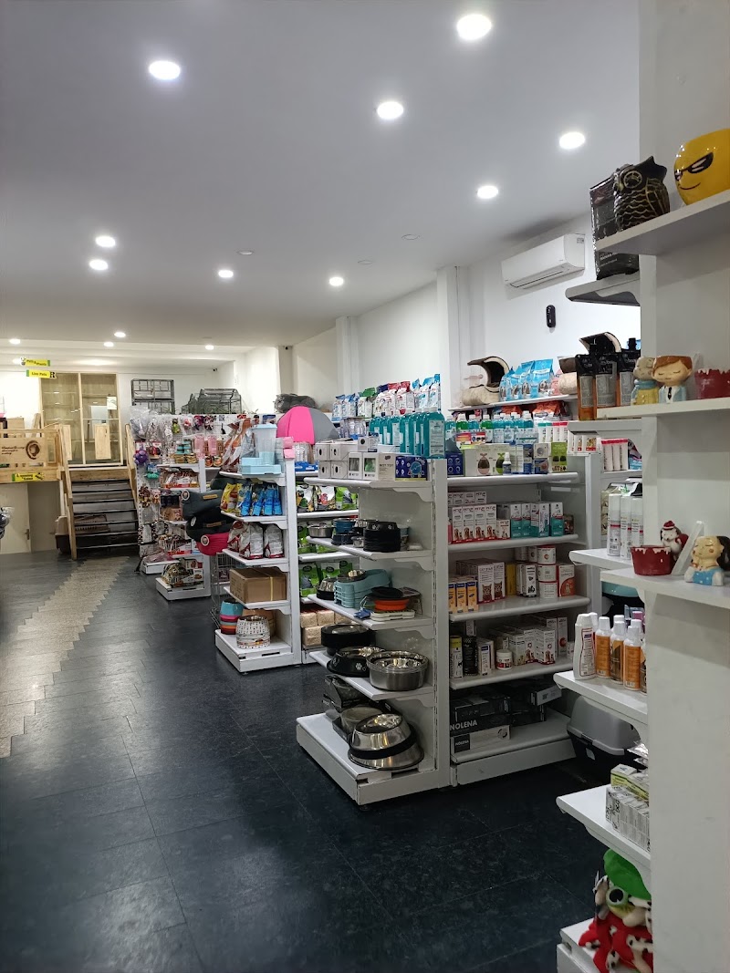 Rainforest Pets & Plants — Photo 4